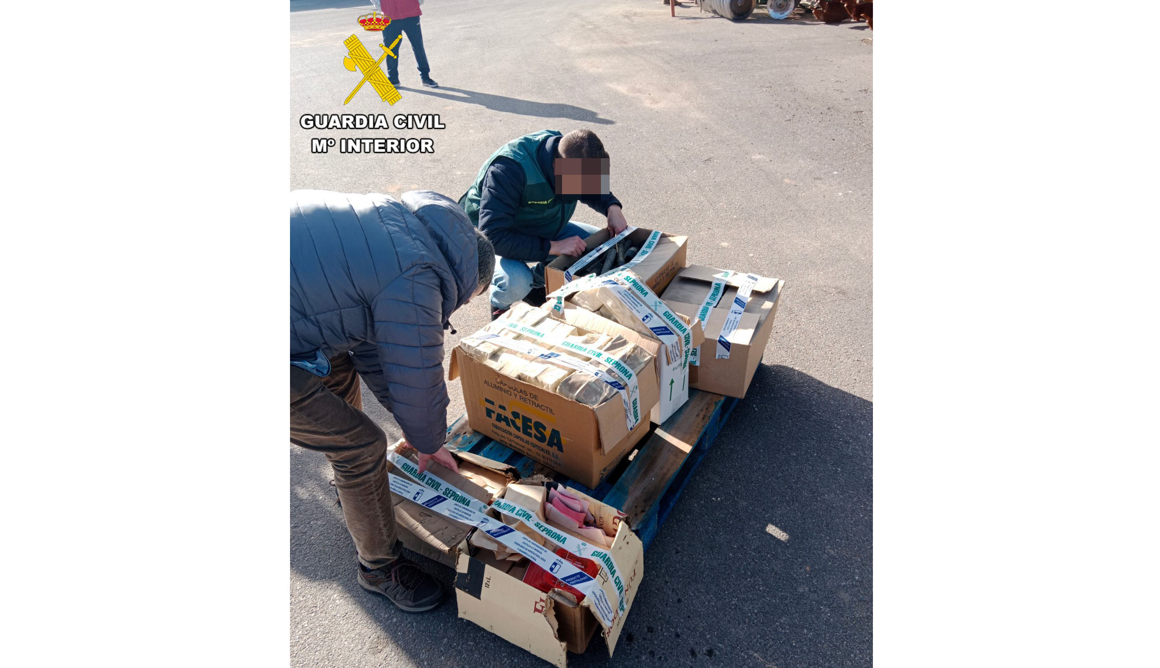 cajas etiquetas