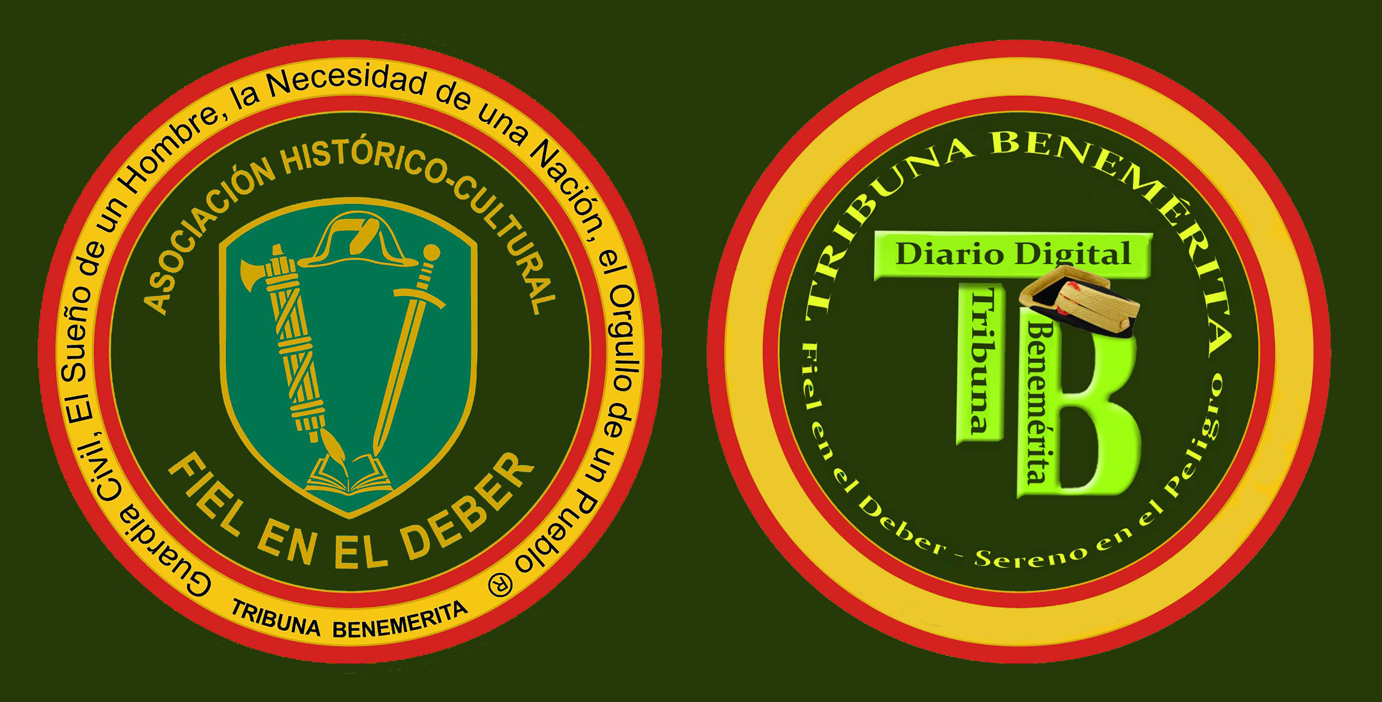 fiel en el deber tribuna benemerita fondo blanco v22
