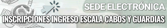 ingreso sede electronica