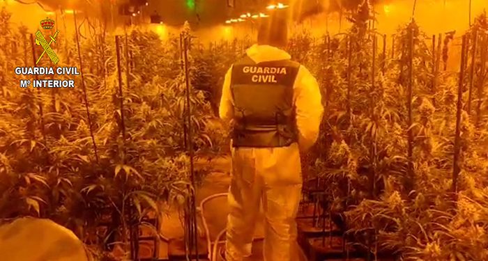 la guardia civil guadalajara desmantela