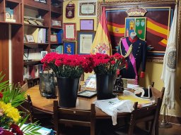 polillas_valdemoro_2023_12