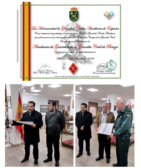 recogida_alimentos_auxiliares4.jpg