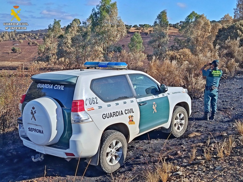 seprona incencio 300 ha 
